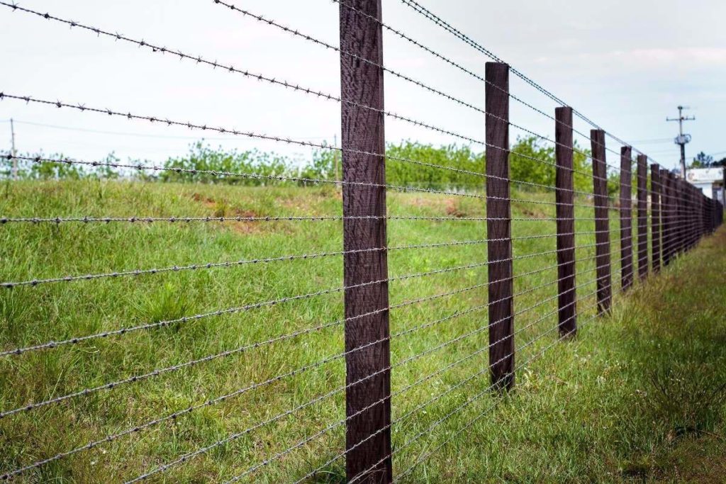 A imagem mostra um exemplo do uso do arame farpado.